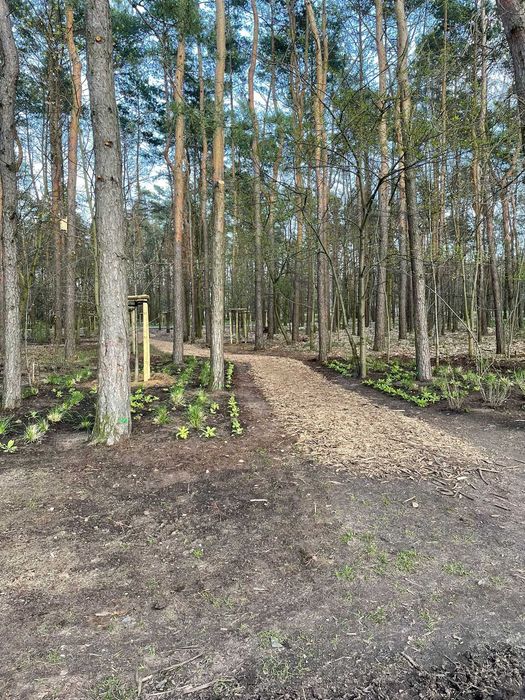 kompost organiczny, ziemia, podłoże 36,99 zł za tonę