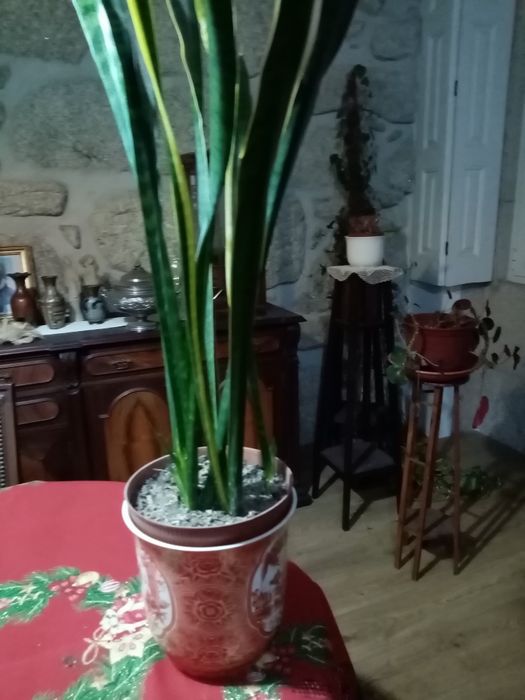 Vaso de porcelana com espada de s Jorge