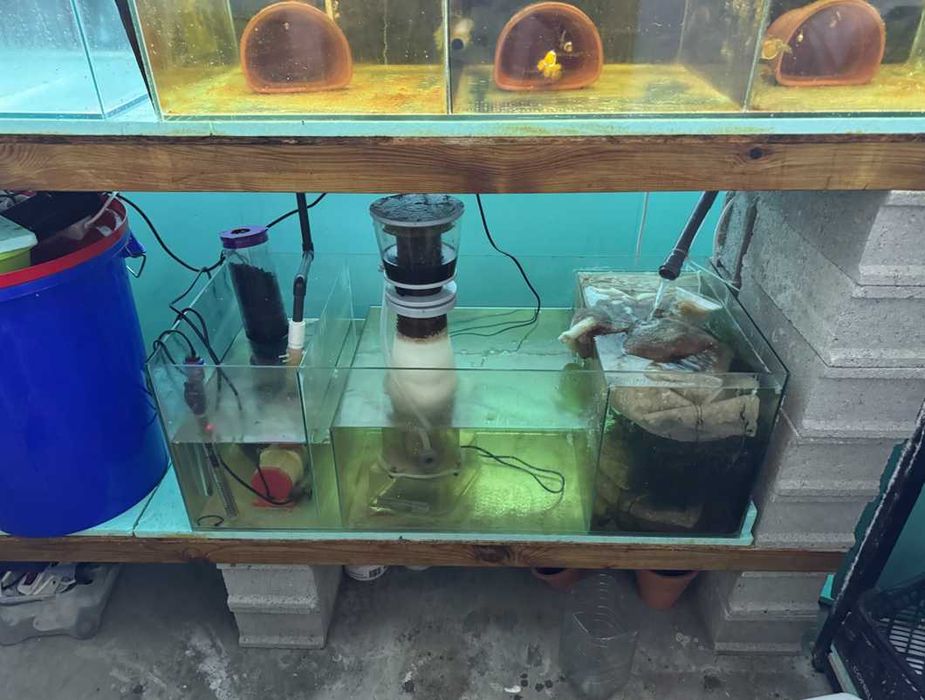 Sistema de Aquários para Criação e Engorda - 9 Tanques + Sump