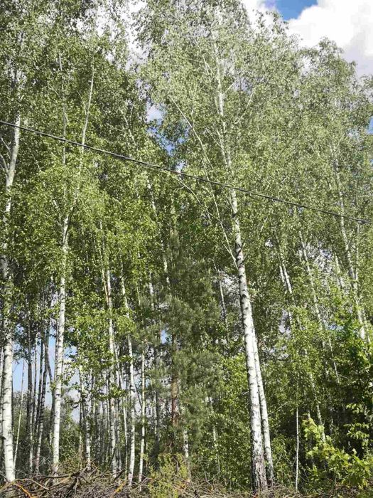 Ділянки біля озера у кооперативі Михайлівка-Рубежівка