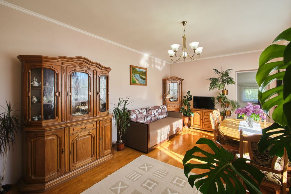 Будинок у Карпатах