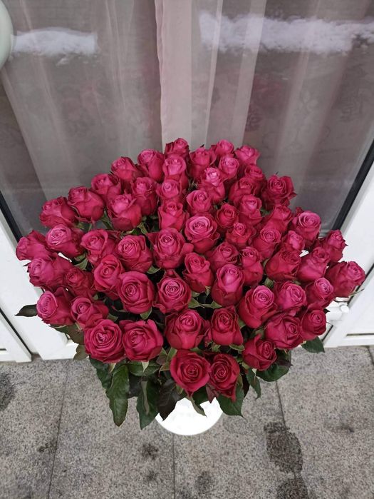 Розы  Троянди в наличии.