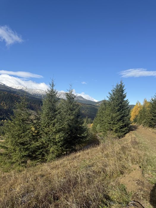 20 соток у Дземброні