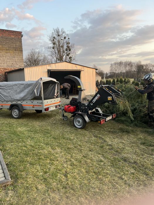 Wycinka drzew, karczowanie terenu, usuwanie korzeni