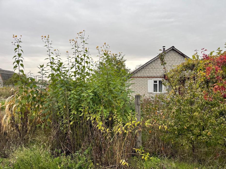 Дача з будиночком (на ветерані)