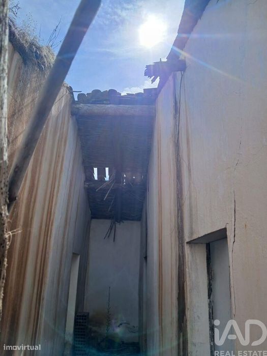 Quinta rural T1 em Sabóia de 80 m2