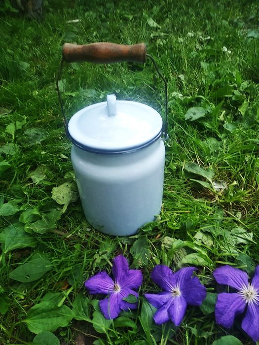 Бидон эмалириванный 3 л.