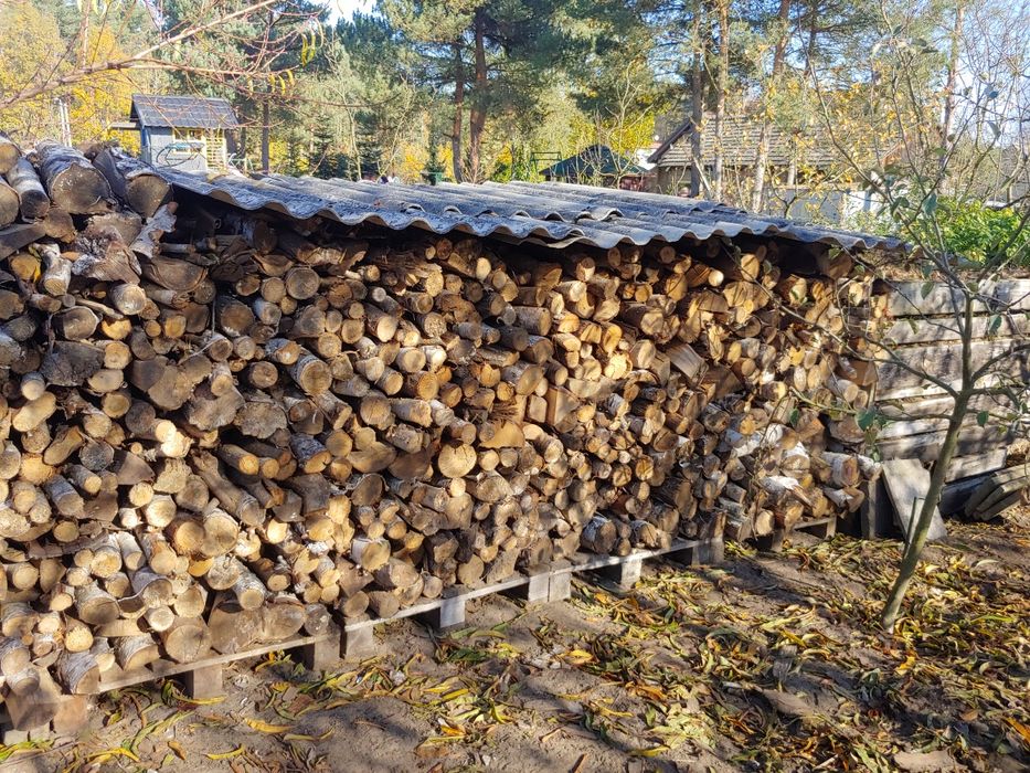 drewno kominkowe i opałowe