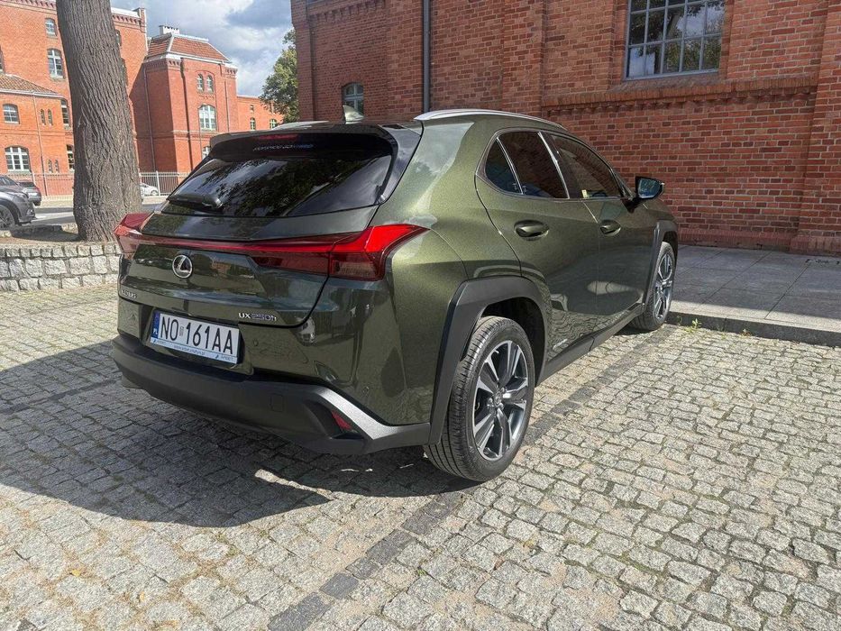 Lexus UX 250 h Prestige Hybryda