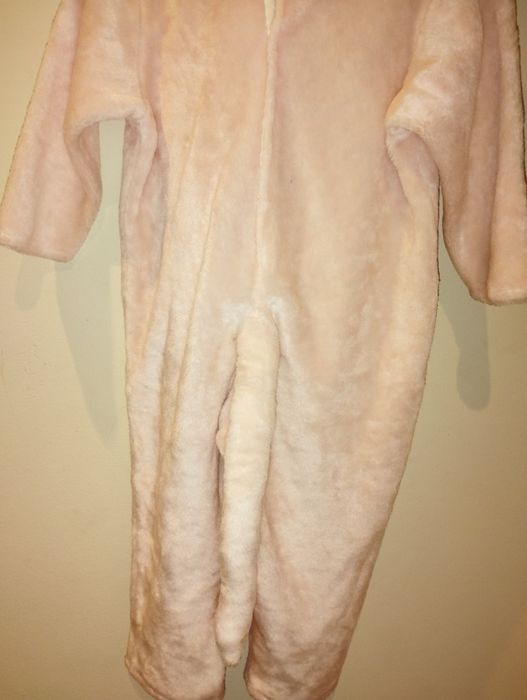 Fatos de Carnaval para crianças