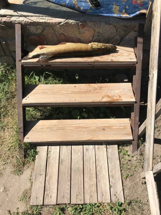 Усамітнений будинок для відпочинку. Рибалка. Шашлики. Природа. Ліс.