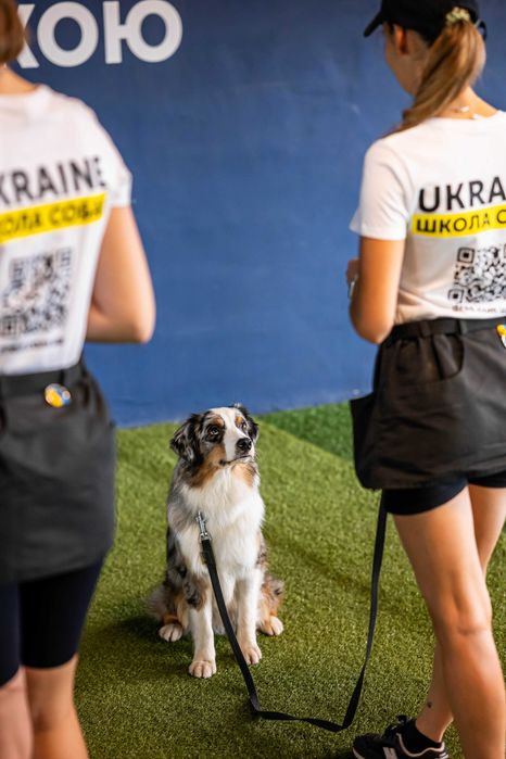Школа Дресирування навчання собак Васильків Бобриця з проживанням