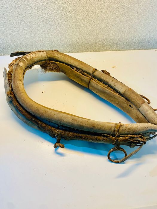 Molim muito antigo para burro