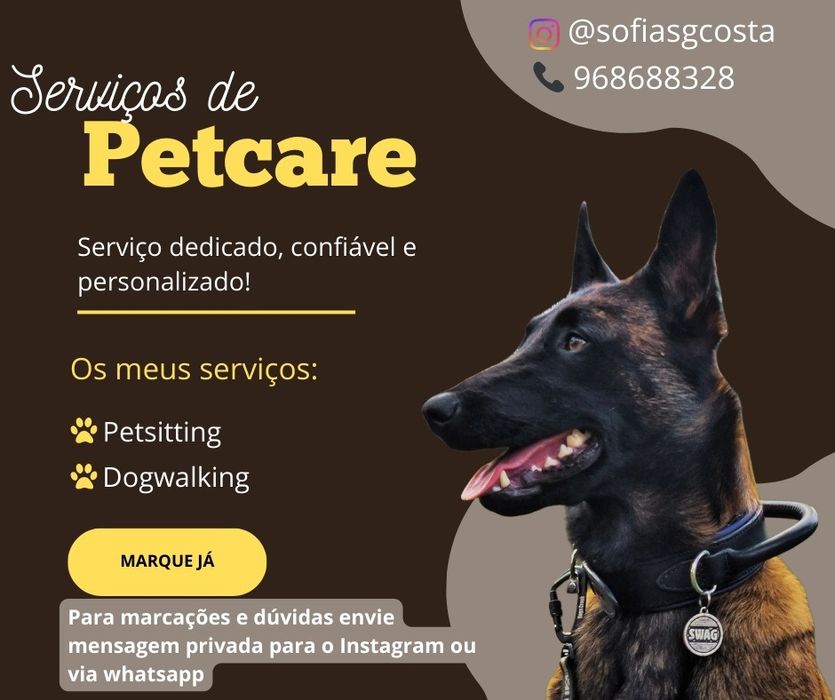 Petsitting, dogwalking e treino canino