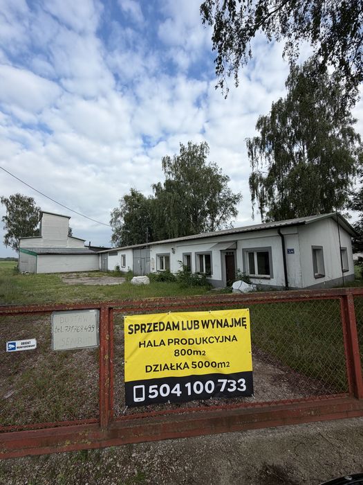 Hala produkcyjna wynajem/sprzedaż
