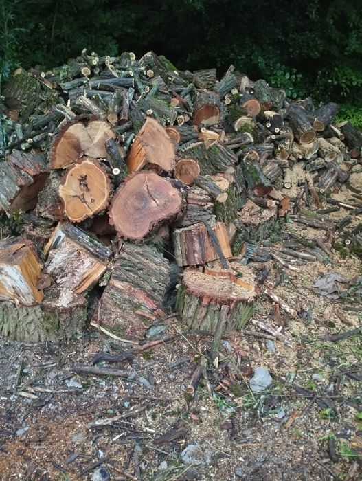 Дрова Акація Береза