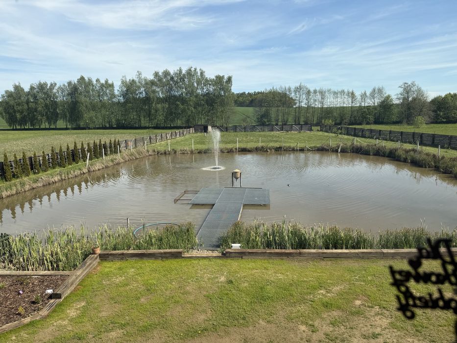 Gdow domek z jacuzzi a'la leśniczówka nad stawem