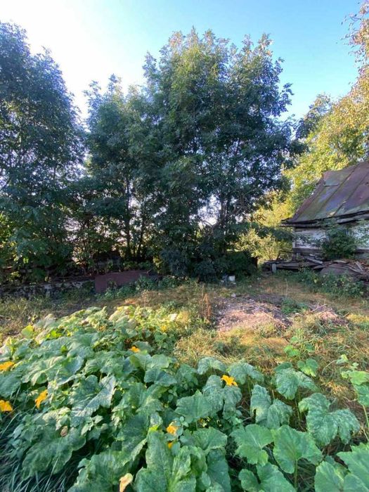 Земельна ділянка з будівлею с.Забороль