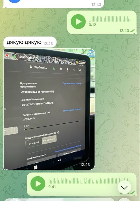 Tesla діагностика