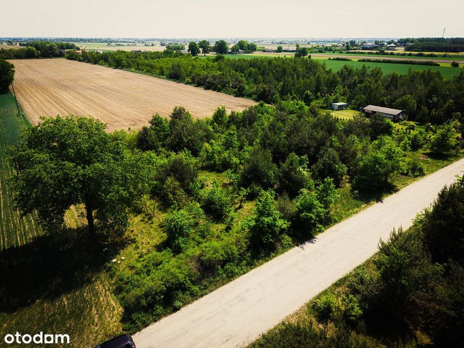 Łaznowska Wola - duża działka w małej cenie - Widok 4