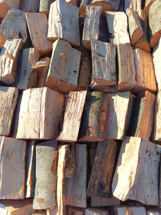 Buk. Drewno kominkowe. Opał. Możliwość transportu.