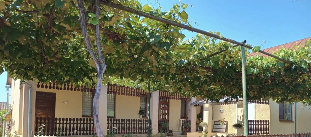 Затишний будинок біля Чорної Гори.