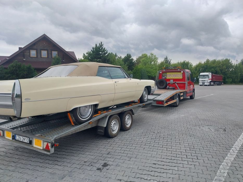 Usługi transportowe