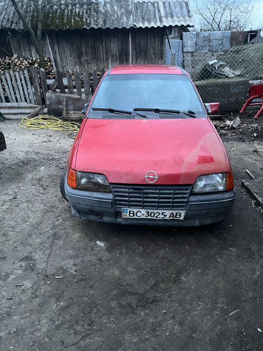 Продам 10 тимяч і забираїт