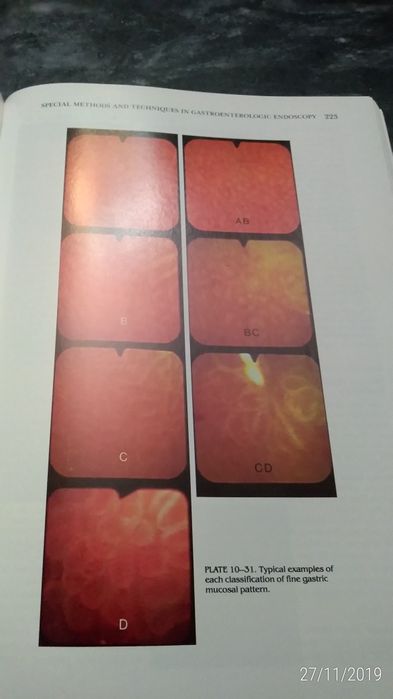 Livro de Medicina "Gastroenterologic Endoscopy"