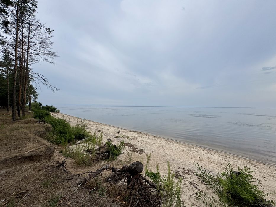 Продаж ділянки від 40 соток до 10Га. с. Ясногородка Киівська область