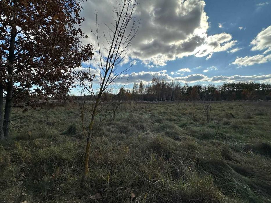 Продаж  ділянки 38,36сот.(25 сот під забудову+13,36ОСГ)Почепин.ID:732