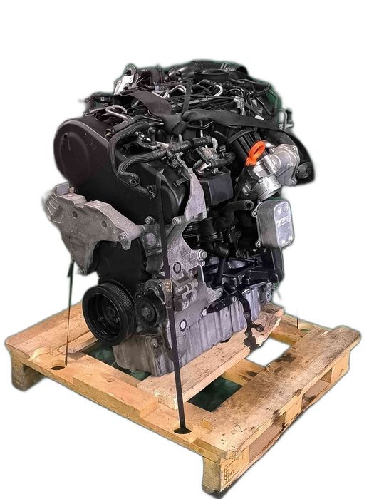 Motor Completo VW CADDY III Veículo multiuso 1.6 TDI (75 kW / 102 cv) [08.2010 - 05.2015] CAY (OEM)
