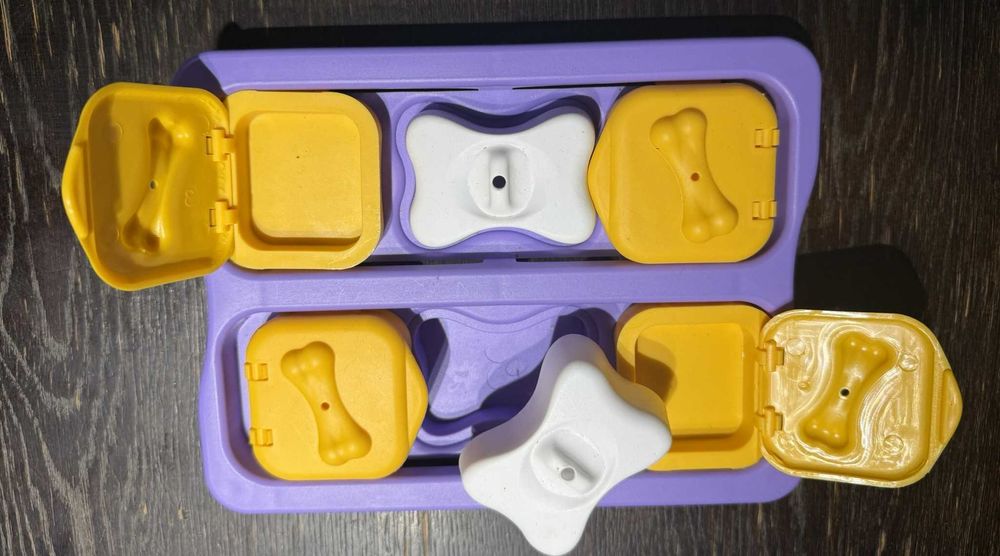 Nina Ottosson zabawka dla psa, węchowa, puzzle, węch