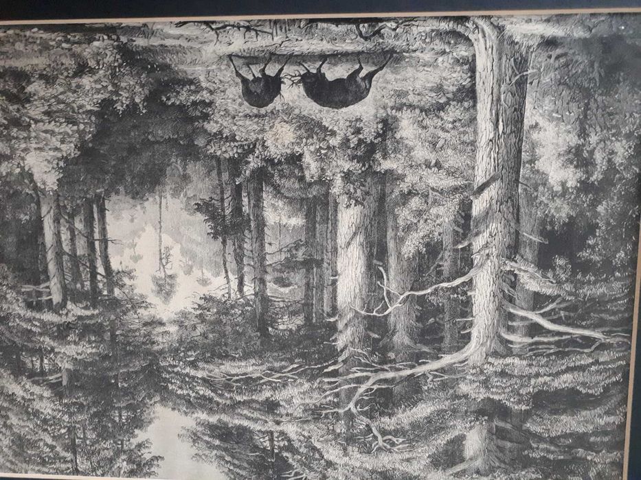 Obraz myśliwski - Rycina "Walka jeleni na rykowisku"