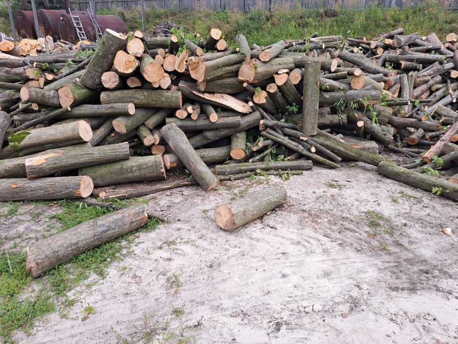 Дрова бук.  Граб