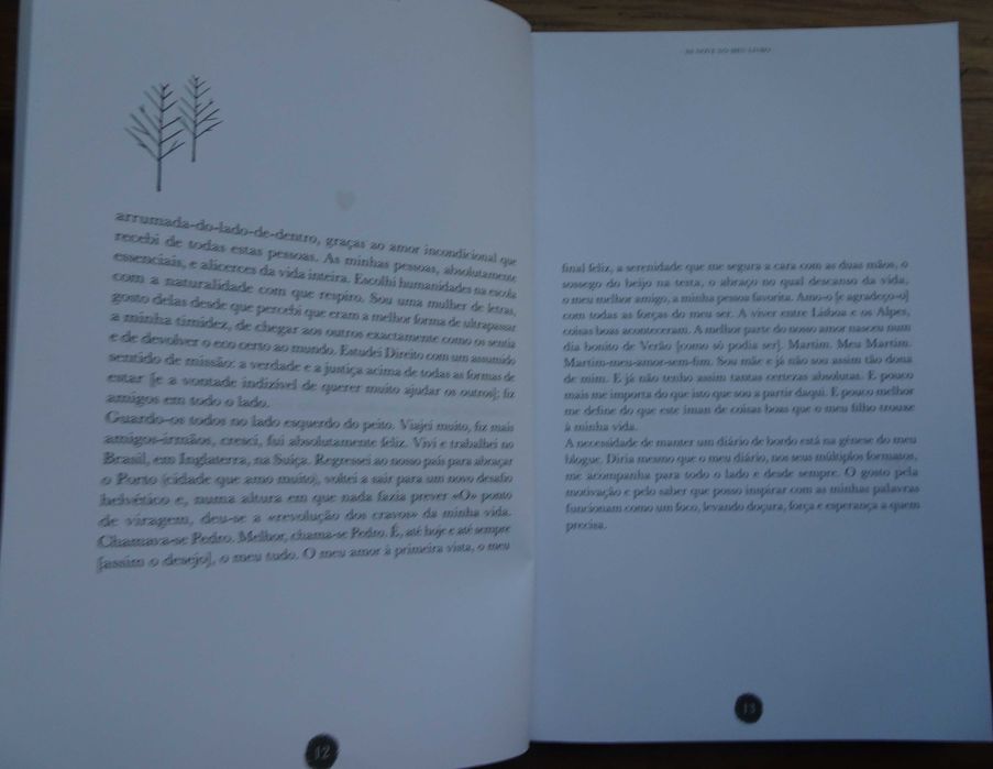 Ás 9 No Meu Livro de Sofia Castro Fernandes