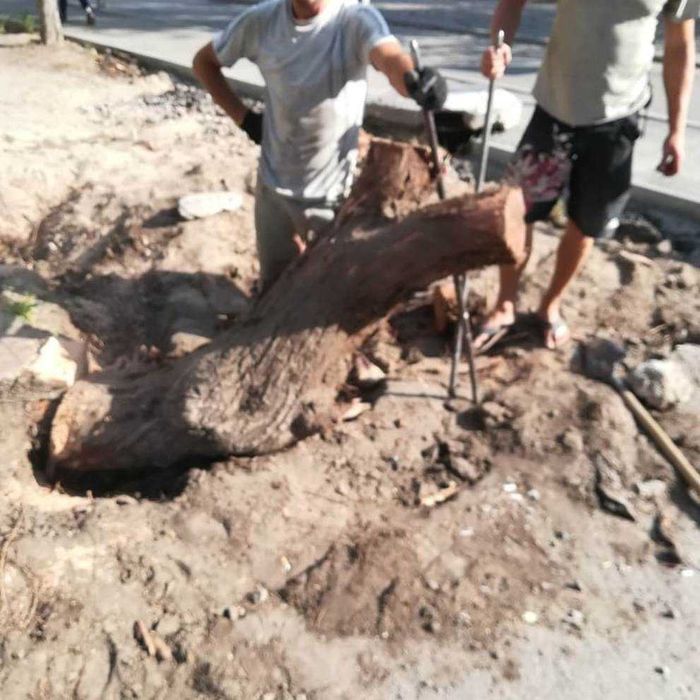 Покосить бурьян СПИЛ Деревьев Расчистка участков Корчевание пней Вывоз