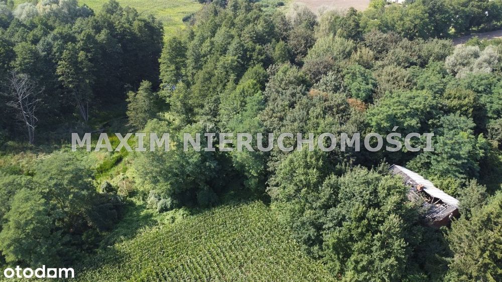 Działki z WZ nad rzeką Miszewko gm.Bodzanów - Więcej