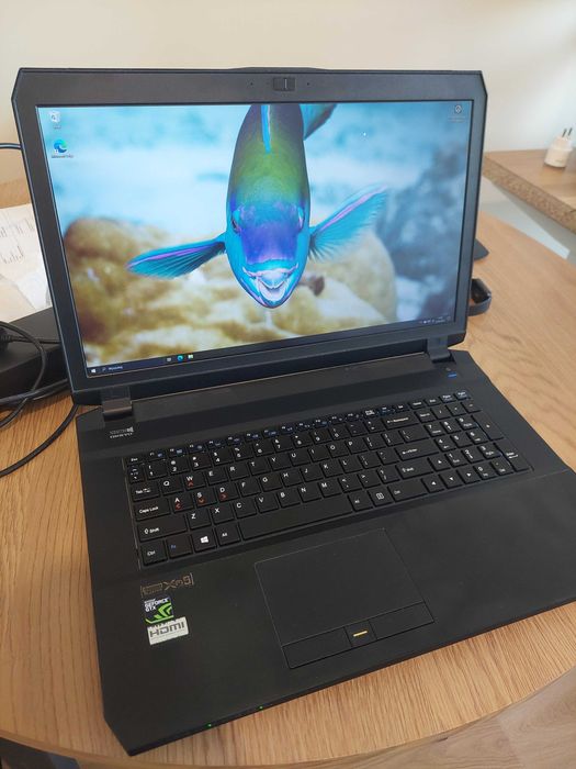 Clevo P670RG 17.3" - i7-6700HQ, GTX 980M 8GB, 32GB RAM, 512 GB SSD