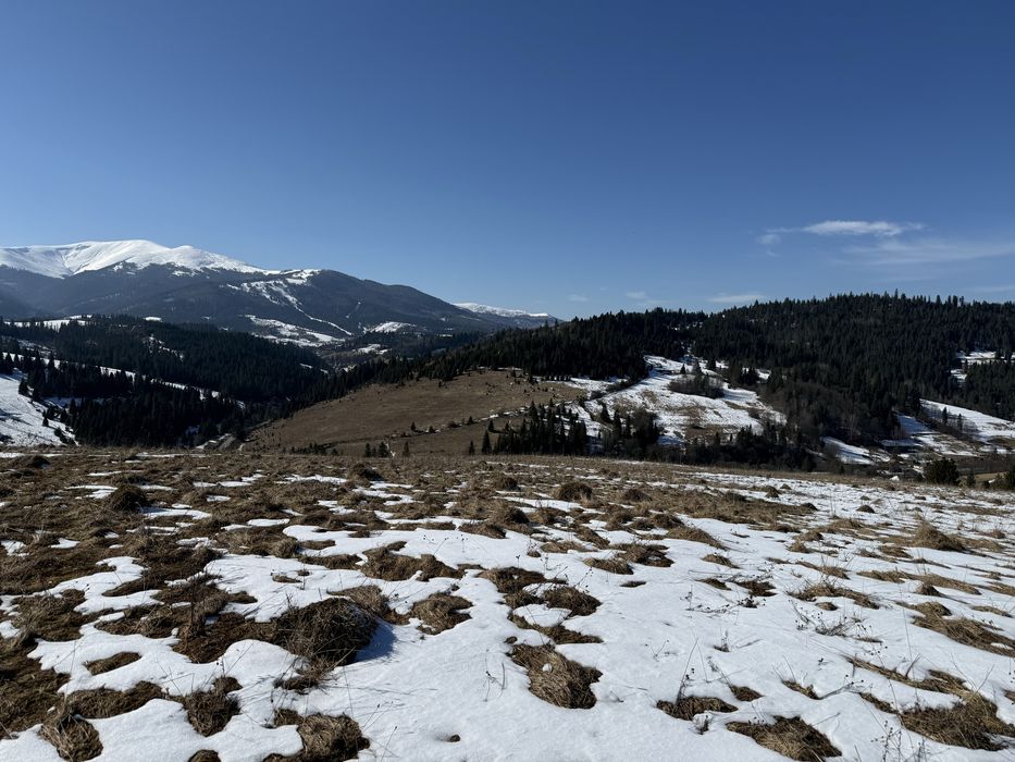 Продається ділянка осг в с. Пилипець