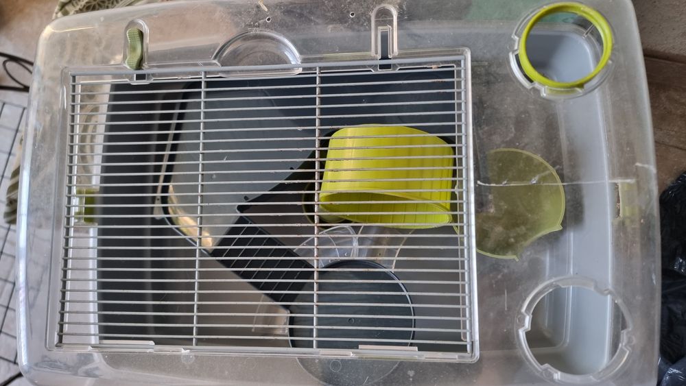 Gaiola para hamsters 50×30×30