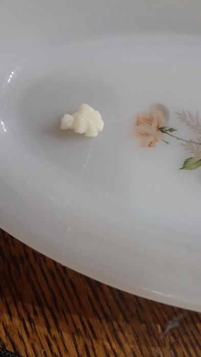 Grzybek Tybetanski.Tanio.