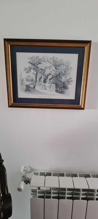 8 Gravuras com moldura em madeira azul e dourada