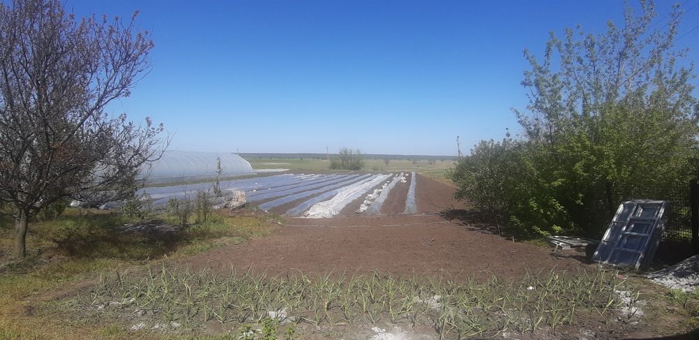 Продам просторный, уютный дом 100м² в с.Булаховка