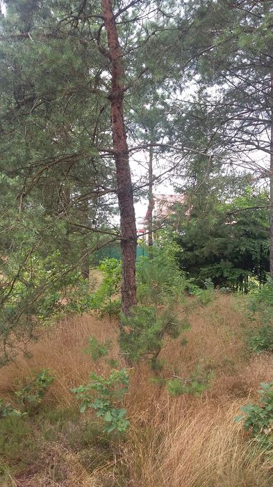 Działka budowlana  w Lipuszu 1404 metry