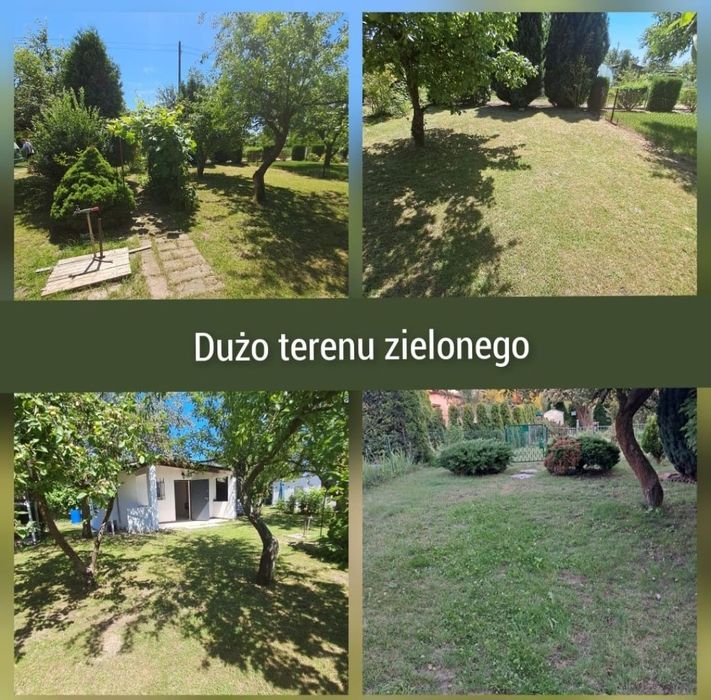 Działka ROD Minikowo (Starołęka)