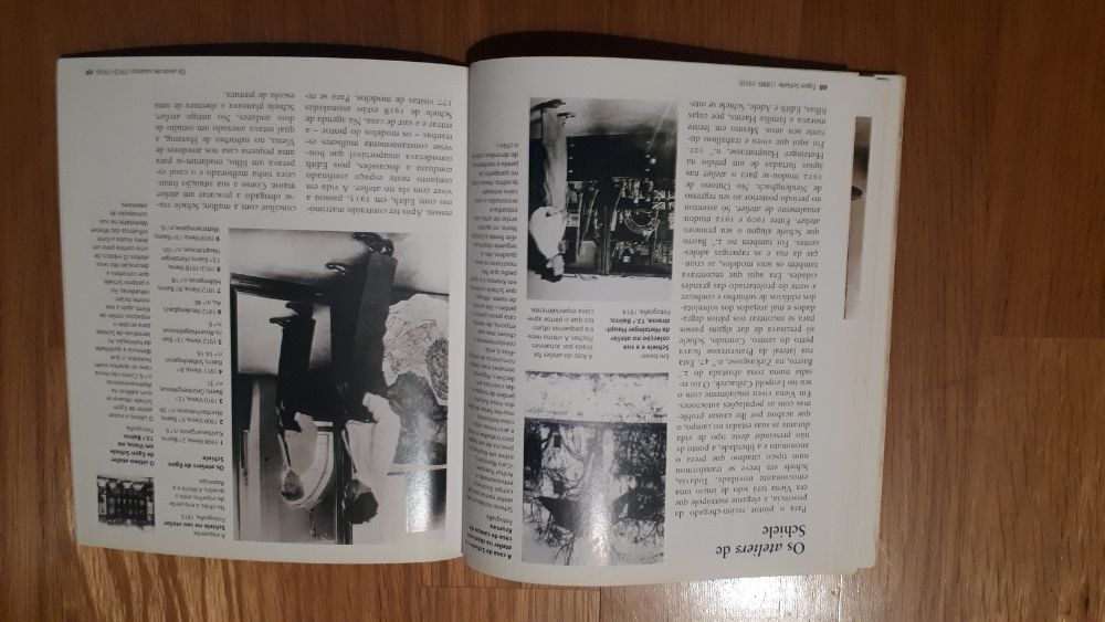 Miniguia de Arte - Schiele, Malevitch