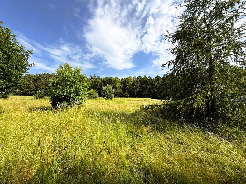 Działka budowlana blisko lasu