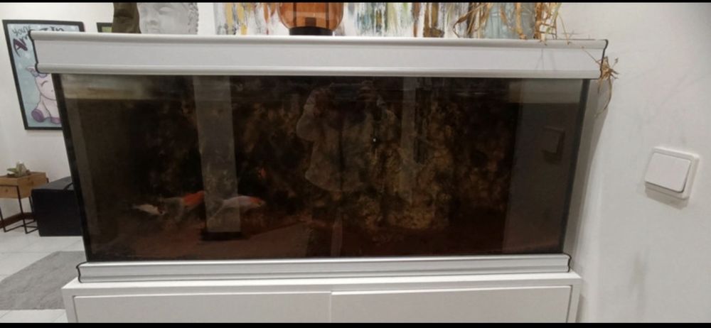 Aquário 170L + Móvel lacado Branco/Negociável