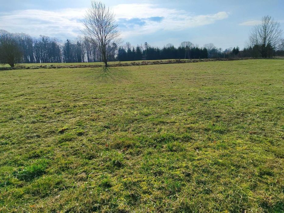 Działka siedliskowa na sprzedaż 6 406 m2 - Siniec gm. Srokowo